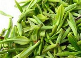 什么人不适合喝绿茶 什么人不适合喝绿茶水