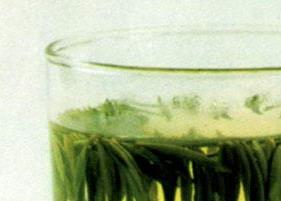 黄茶的特点（缙云黄茶的特点）