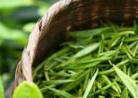 夏天喝绿茶的好处有哪些 夏天喝什么绿茶比较好对身体
