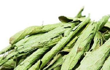 甜叶菊的功效与作用及食用方法 甜叶菊的功效与作用及食用方法及禁忌