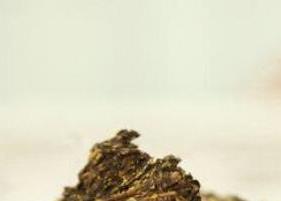 茯茶的功效与作用 茯茶的功效与作用及食用方法