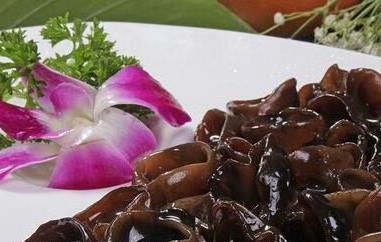 木耳菌怎么吃 木耳菌怎么吃?