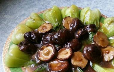 耗油怎么吃（蚝油怎么吃有毒）