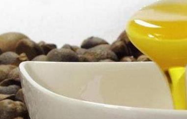 茶花油怎么用 茶花 茶油