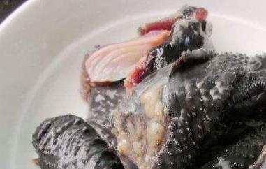 乌鸡的功效作用 乌鸡的功效作用营养价值