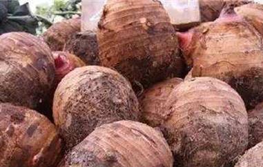 香芋的功效和作用 香芋的功效和作用与禁忌