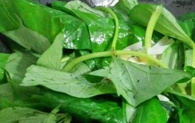 红薯叶的功效与作用及食用方法 红薯叶的功效与作用及食用方法视频