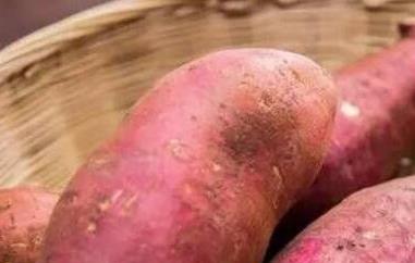 红薯不能和什么一起吃 红薯不能和鸡蛋一起吃是真的吗