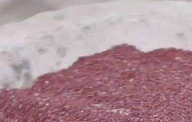 红稗怎么吃(山红稗功效)