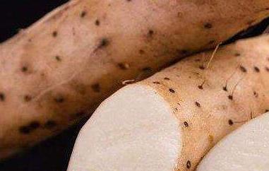 山药的副作用有哪些（山药的副作用有哪些呢）