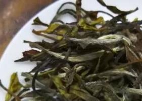 如何选择福鼎老白茶（如何选择福鼎老白茶好）