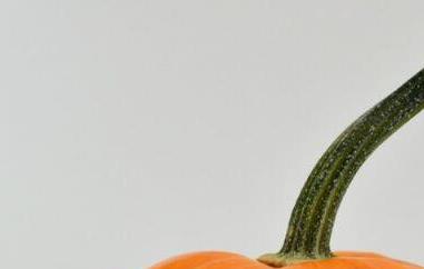 南瓜把的功效与作用 南瓜把的功效与作用及副作用?