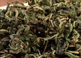 蒲公英茶的功效与作用及禁忌 决明子菊花蒲公英茶的功效与作用及禁忌