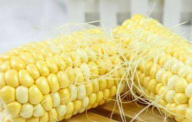 玉米须泡水的功效与作用 玉米须泡水的功效与作用的功能与主治