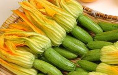 南瓜花的功效与作用及禁忌（南瓜花的功效与作用及禁忌视频）