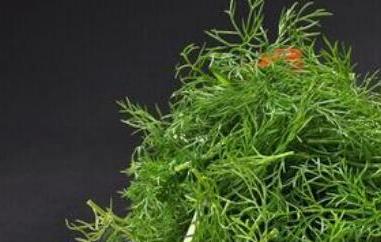 小茴香菜腌制保存方法 小茴香菜腌制保存方法图片