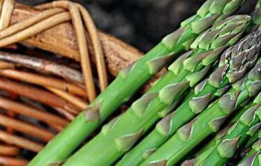 芦笋怎么种植 芦笋怎么种植技术视频