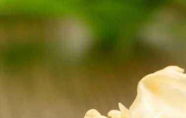 银耳能天天吃吗 银耳能天天吃吗每天吃多少