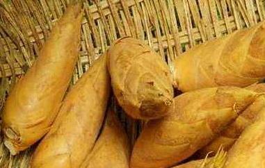 冬笋的功效和作用及禁忌(冬笋的食用价值和禁忌)