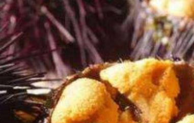 海胆可以生吃吗 海胆可以生吃嘛