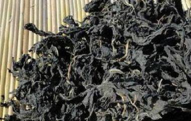 干芝麻叶怎么吃好吃 干芝麻叶的吃法