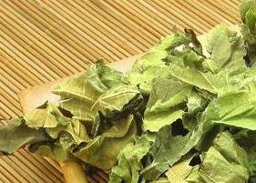 桑叶茶的功效与作用（桑叶茶的功效与作用泡水喝的功效）