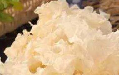 银耳为什么不能天天吃（银耳可经常吃吗）