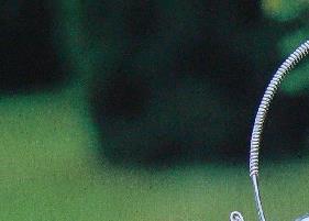 普洱茶喝法 大益普洱茶喝法