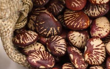 补肾豆的功效与作用 补肾豆的功效与作用及禁忌?