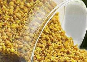 苦荞茶的泡法（苦荞茶的泡法大全）