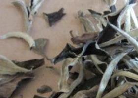 散装云南白茶怎么保存（云南大白茶保存）