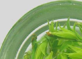 苦丁茶的功效与作用 苦丁茶的功效与作用与主治