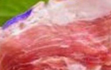 雪猪肉的功效与作用 雪猪肉的药用价值与作用