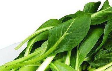 鸡毛菜怎么养殖（鸡毛菜怎么养殖的）