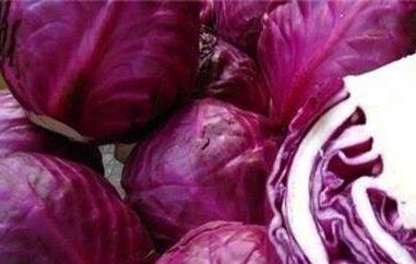 紫甘蓝可以生吃吗 青甘蓝和紫甘蓝可以生吃吗