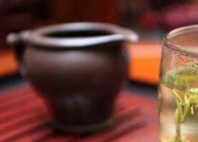 福鼎大白茶怎么泡 福鼎大白茶怎么泡好喝