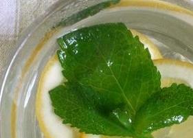 蜂蜜薄荷绿茶的功效与作用 蜂蜜薄荷绿茶的功效与作用是什么