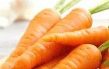 胡萝卜不能和什么一起吃 胡萝卜不能和什么一起吃 食物相克表