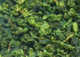 野生茶是什么茶 大别山野生茶是什么茶