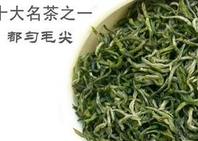 毛尖新茶知识介绍（毛尖茶的介绍）