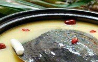 甲鱼油的功效与作用（甲鱼油的功效与作用及副作用）