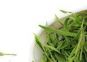 竹叶茶和什么配一起（竹叶茶和什么配一起喝）