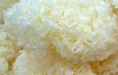 银耳为什么不能天天吃 银耳为什么不能天天吃银耳可以隔夜吗