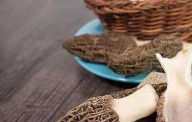 羊肚菌的功效与作用（羊肚菌的功效与作用禁忌）