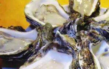 生蚝怎么吃 生蚝怎么吃最正确的方法