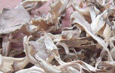 灰树花的功效与作用（灰树花的功效与作用禁忌）