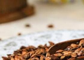 大麦茶的功效与作用及禁忌（大麦茶的功效与作用及禁忌症）