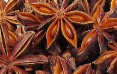 八角茴香怎么吃 八角茴香怎么吃好