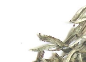 月光白茶的功效与作用(月光白茶的功效与作用及禁忌)