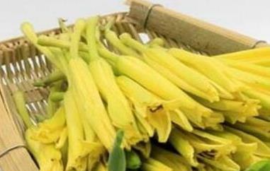 鲜针菜花的功效与作用（鲜针菜花的功效与作用禁忌）